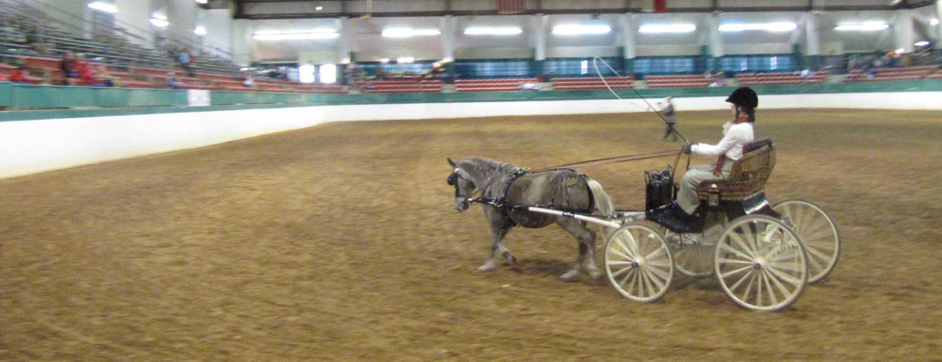 North Carolina State Fair