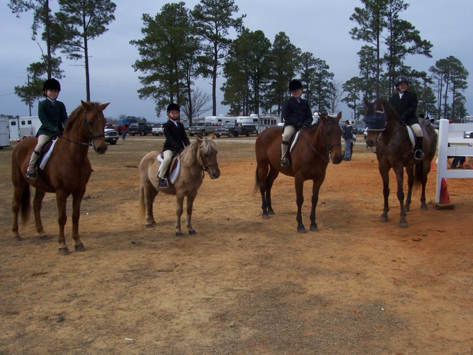 From left to right Star, Schuyler, Jett, Solie. I don’t know where Star is now, but the three boys on the right are all together in pony heaven“