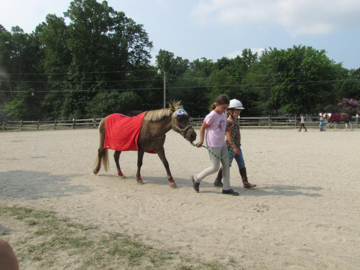 Schuyler participated in all of Castle Farm‘s summer camps. This year we had a costume contest,. His campers dressed him up as “Super Sky”.