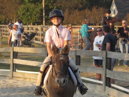 Horse Shows