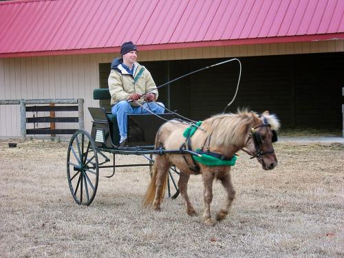 Carriage Work