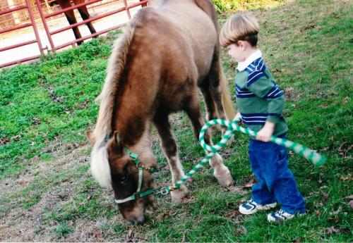 A Boy and His Pony